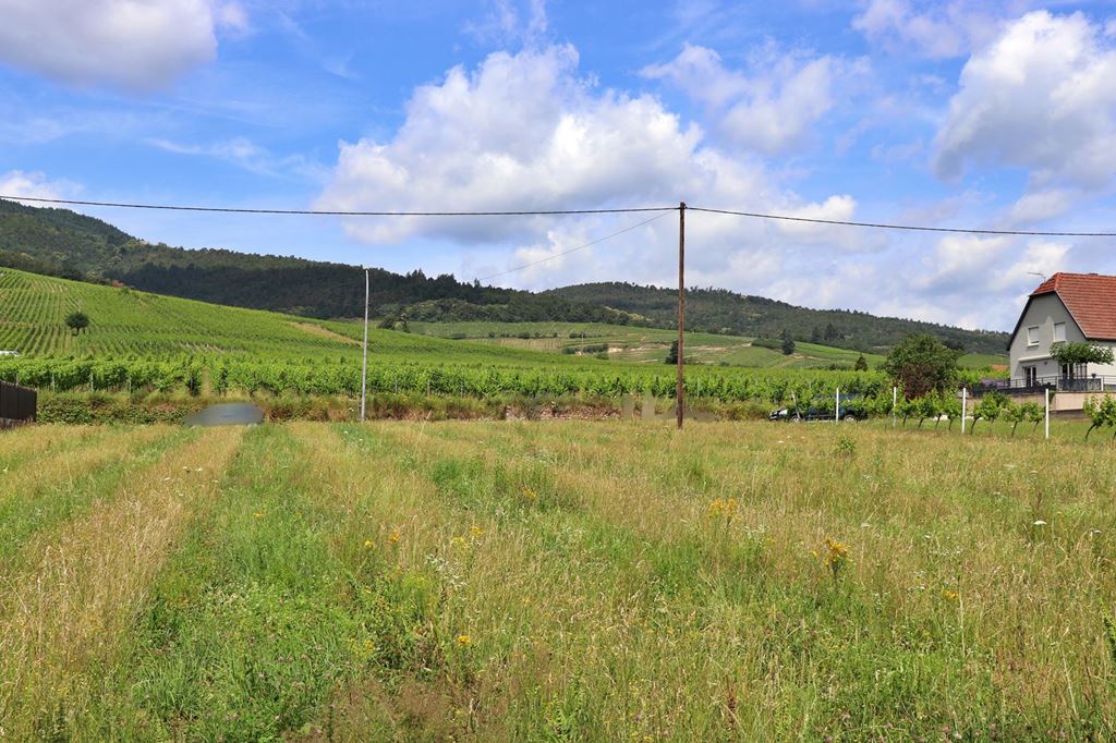 Terrain DAMBACH LA VILLE 500000€ ALSACE TRANSACTIONS IMMOBILIÈRES Terrain DAMBACH LA VILLE 500000€ ALSACE TRANSACTIONS IMMOBILIÈRES