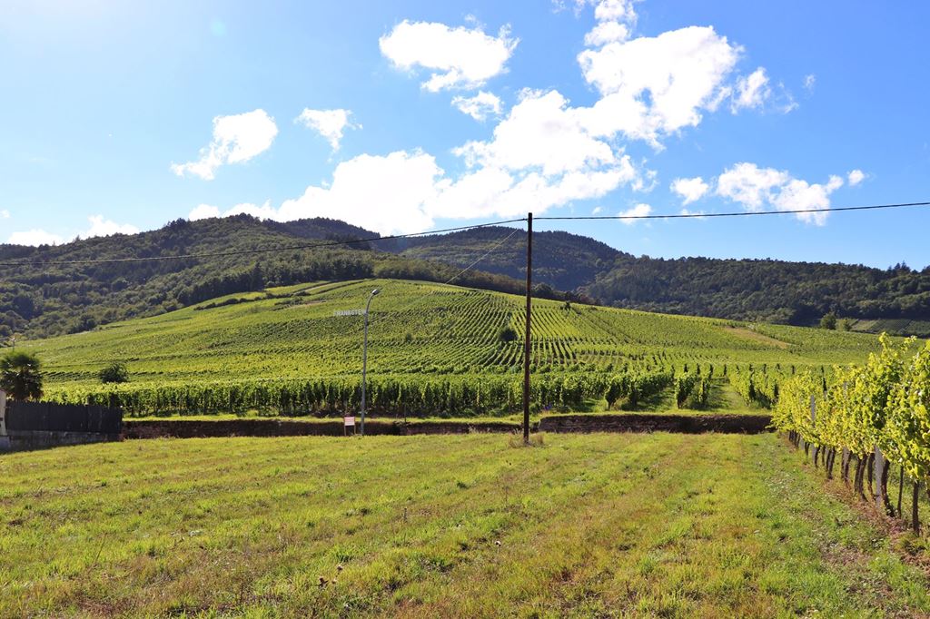 Terrain DAMBACH LA VILLE 500000€ ALSACE TRANSACTIONS IMMOBILIÈRES